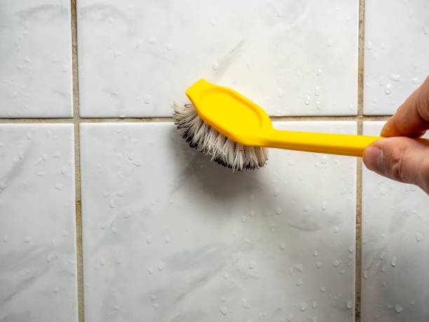Best Mold Removal Near Me  in Eagar, AZ