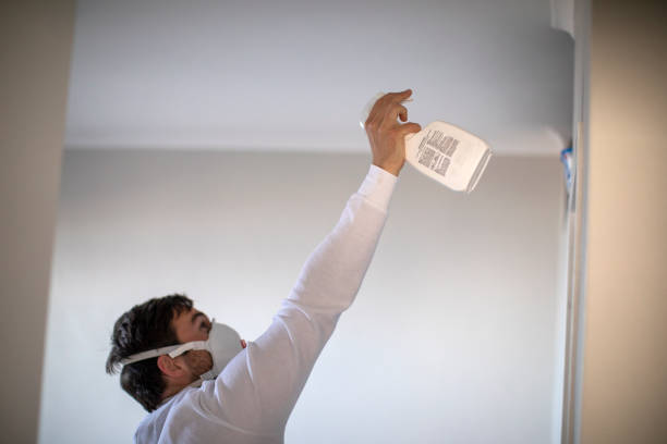 Best Local Mold Removal Service  in Eagar, AZ