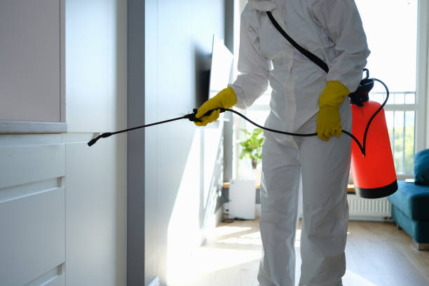 Best Mold Cleaning Services  in Eagar, AZ