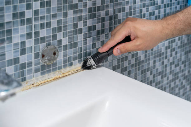 Best Mold Removal Process  in Eagar, AZ