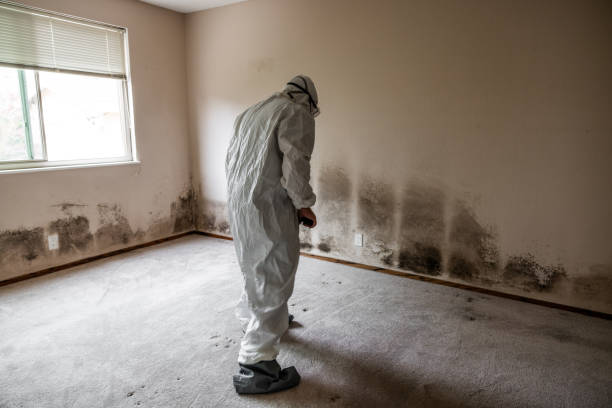 Best Mold Testing  in Eagar, AZ